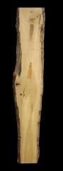 פרוסה מעץ טבעי - מי השרון