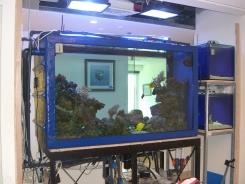 אקווריום מפיברגלאס דו צדדי בהרצליה 2 - Reef-Tech (ריפטק)