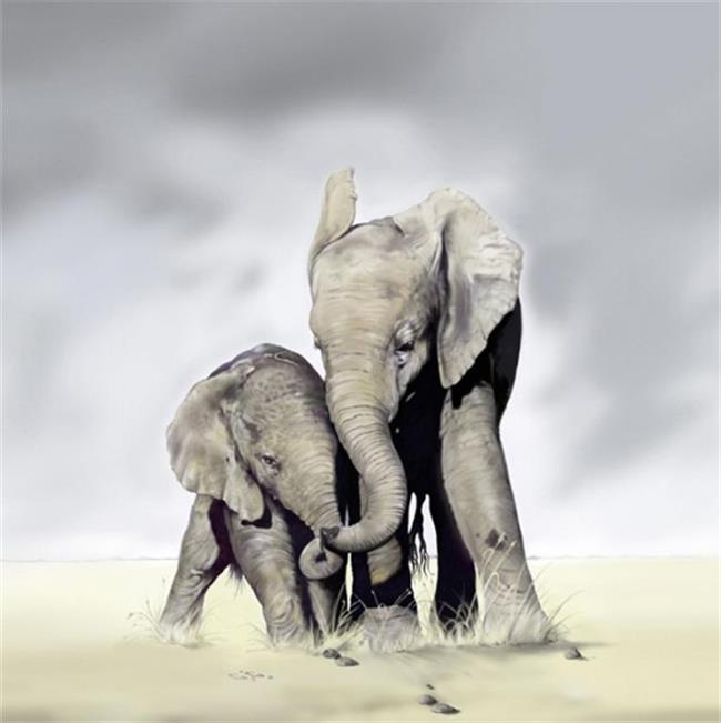 תמונה פילים בטבע - AV Design