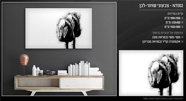 תמונה צבעוני שחור-לבן - בלורן פתרונות פרזול ועיצוב לרהיטים