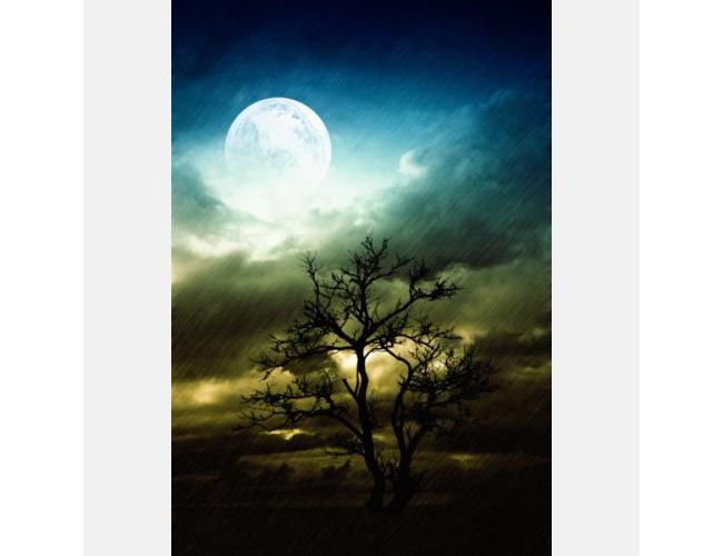 תמונת טפט ירח ענקי - FINKI