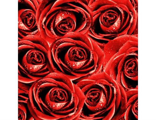 טפט ורדים אדומים - FINKI