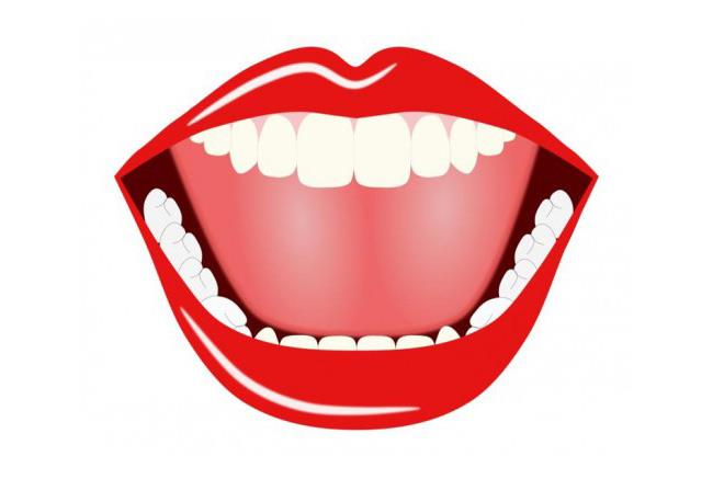 טפט שפתיים אדומות - FINKI