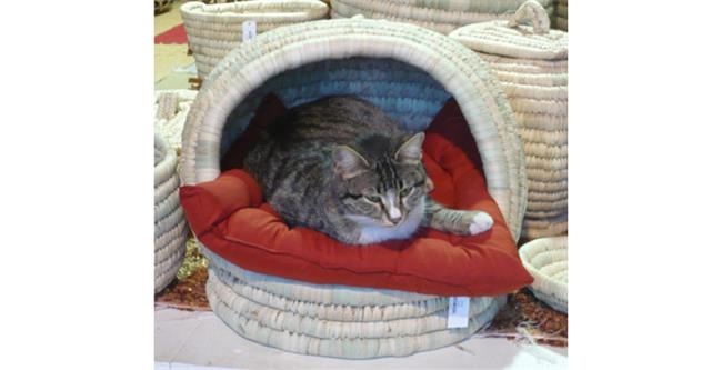 מיטה לחתול ולכלב - didi - מוצרי סיני בישראל