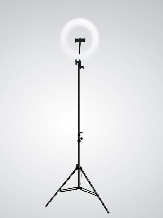מנורת עמידה רינג + שלט - דיל תאורה