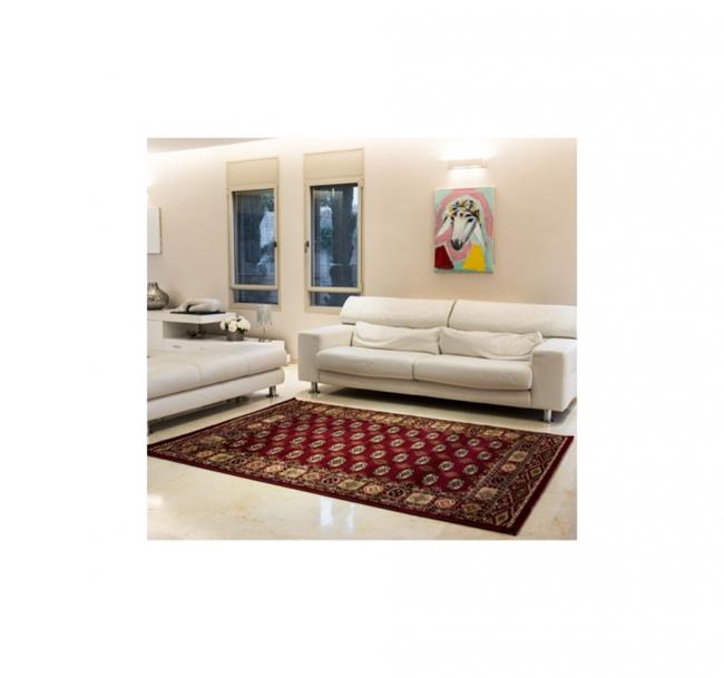 שטיח סהרה בוכרי אדום - buycarpet