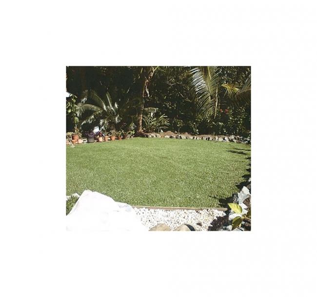 דשא סינטטי מולטי - buycarpet