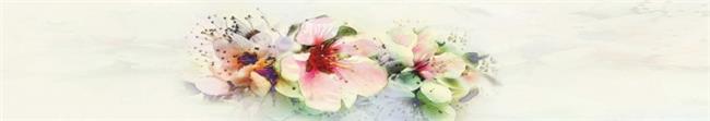 חיפוי זכוכית למטבח פרחים - ArtGlass
