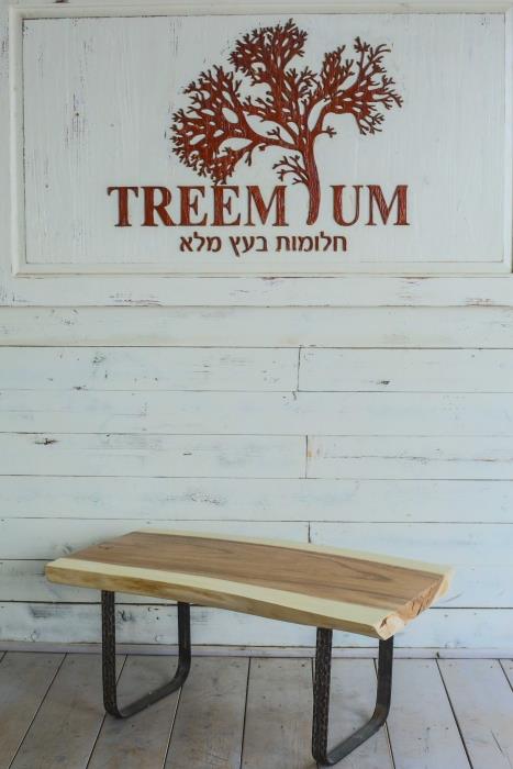 שולחן מגזע עץ - Treemium - חלומות בעץ מלא