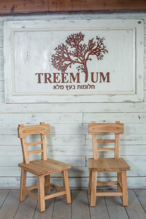 כסא עץ אלון - Treemium - חלומות בעץ מלא
