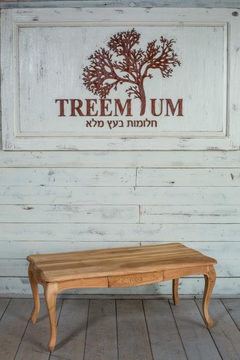 שולחן סלוני עץ מלא - Treemium - חלומות בעץ מלא