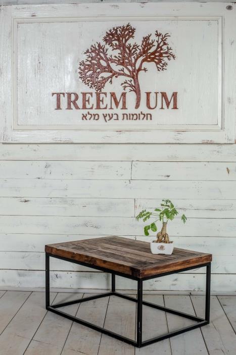 שולחן סלון עץ ממוחזר - Treemium - חלומות בעץ מלא