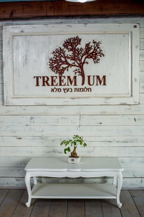 שולחן סלון וינטג' - Treemium - חלומות בעץ מלא