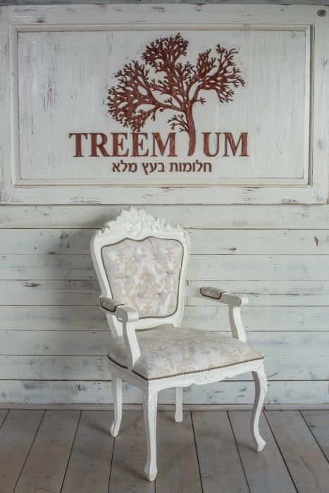 כיסא ייחודי מעץ מלא - Treemium - חלומות בעץ מלא