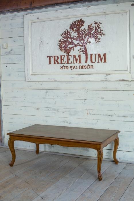 שולחן סלון מעץ מלא - Treemium - חלומות בעץ מלא
