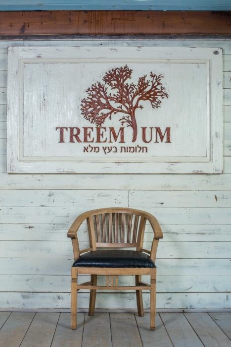 כיסא עץ מלא מרופד - Treemium - חלומות בעץ מלא