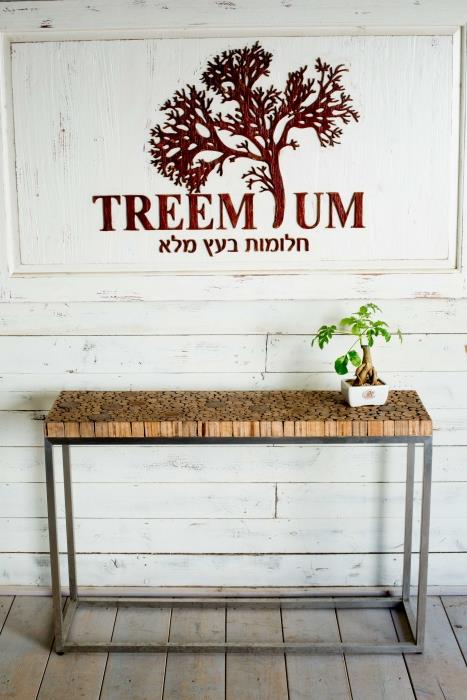 קונסולה בולי עץ טיק - Treemium - חלומות בעץ מלא