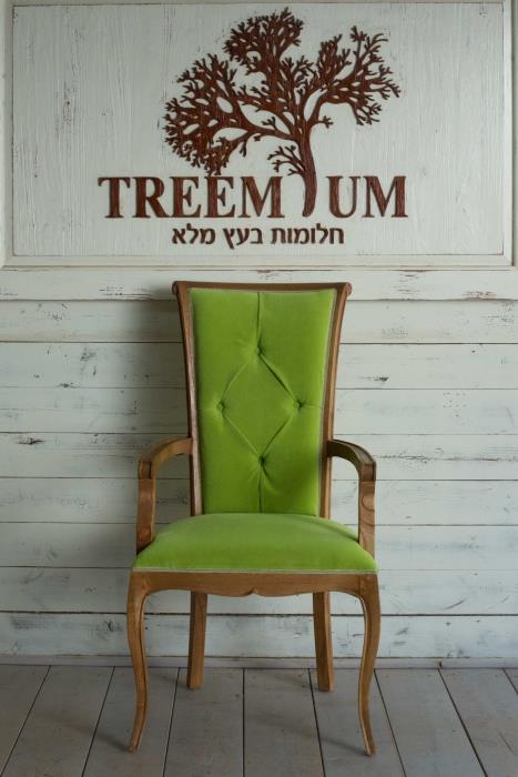כיסא מפואר עץ מלא אלון - Treemium - חלומות בעץ מלא