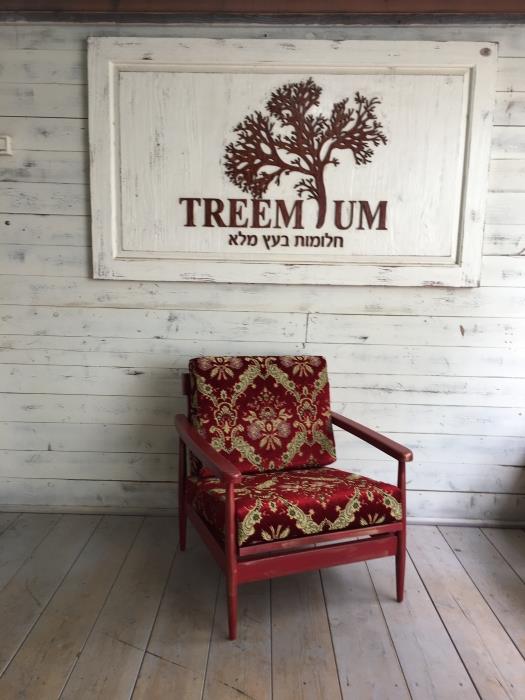 כורסא באדום - Treemium - חלומות בעץ מלא