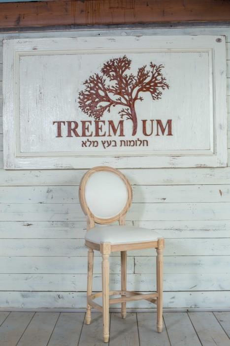 כסא עץ טבעי - Treemium - חלומות בעץ מלא