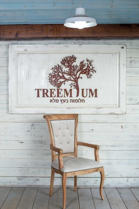 כסא עץ מרשים - Treemium - חלומות בעץ מלא