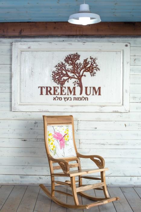 כסא נדנדה עץ טבעי - Treemium - חלומות בעץ מלא