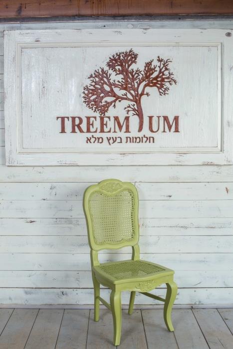 כסא אוכל ירוק - Treemium - חלומות בעץ מלא