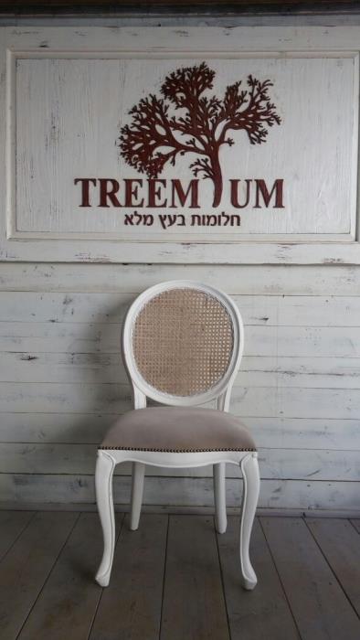כסא פינת אוכל - Treemium - חלומות בעץ מלא