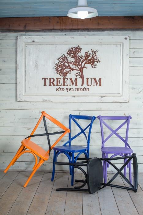 כסאות אוכל אופנתיים - Treemium - חלומות בעץ מלא