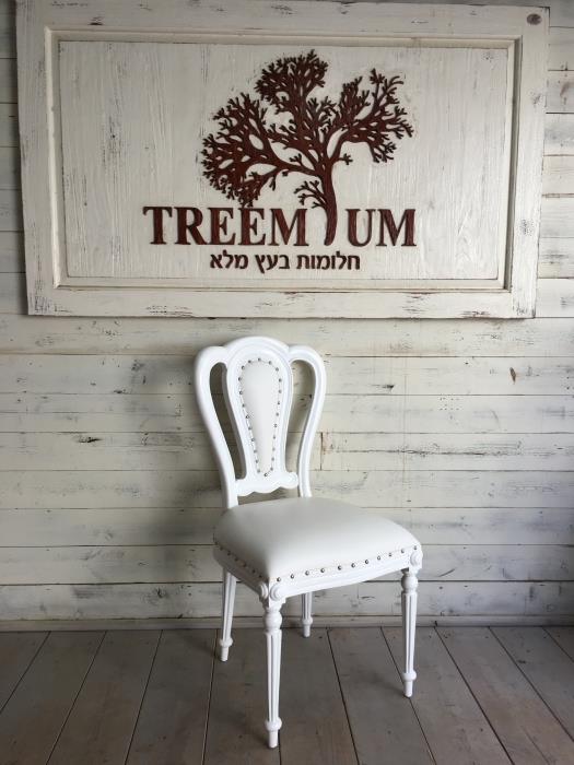 כיסא אוכל עם ריפוד עור - Treemium - חלומות בעץ מלא