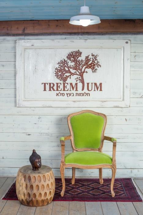 כורסא ירוקה מרשימה - Treemium - חלומות בעץ מלא