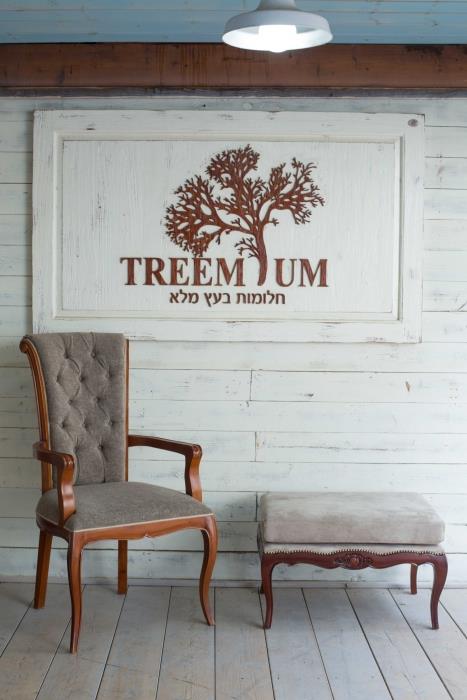 כיסא אוכל מרופד קפיטונאז' - Treemium - חלומות בעץ מלא