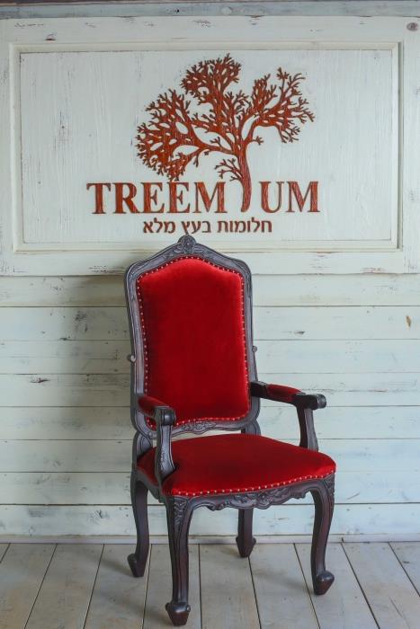 כיסא אוכל קטיפה אדומה - Treemium - חלומות בעץ מלא