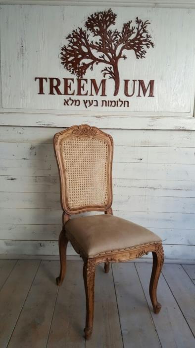 כסא גב רשת - Treemium - חלומות בעץ מלא
