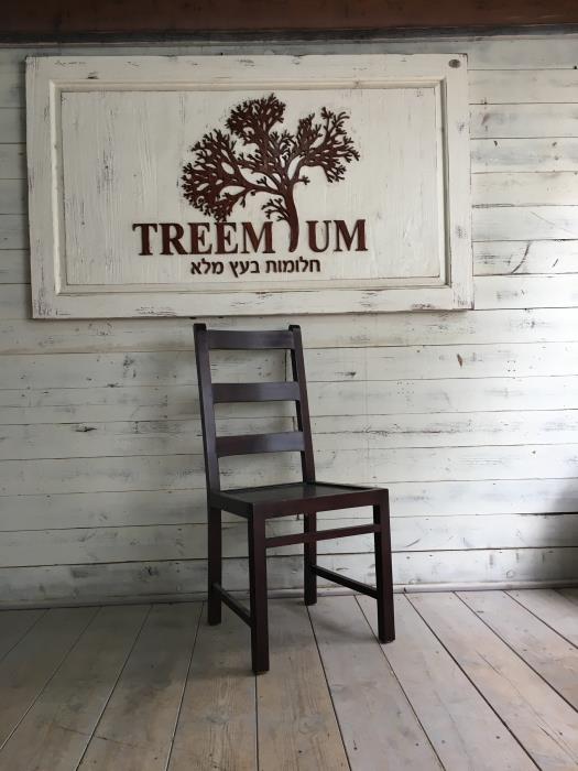 כסא כפרי מהגוני - Treemium - חלומות בעץ מלא