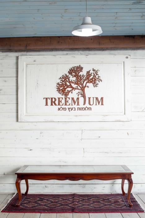 שולחן סלון מהגוני - Treemium - חלומות בעץ מלא