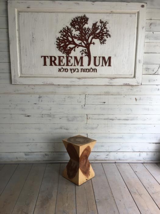 הדום גזע עץ - Treemium - חלומות בעץ מלא
