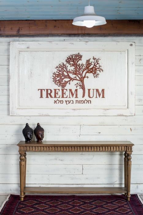 קונסולה עץ בהיר - Treemium - חלומות בעץ מלא