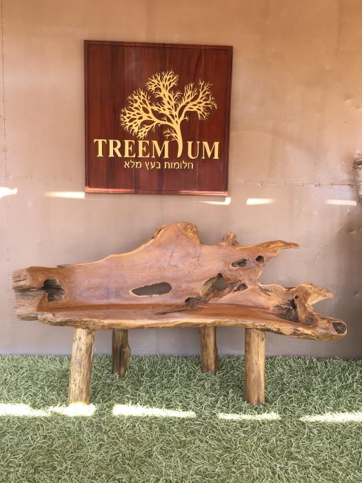 ספסל שורש טיק 150 - Treemium - חלומות בעץ מלא