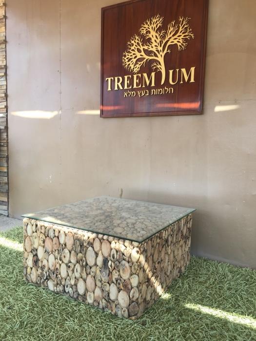 שולחן סלוני מרובע - Treemium - חלומות בעץ מלא