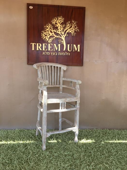 כיסא בר 2214 - Treemium - חלומות בעץ מלא