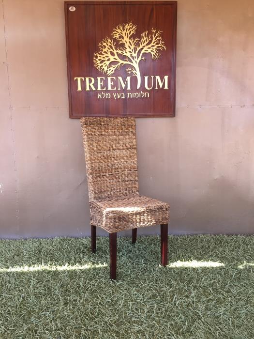 כיסא לפינת אוכל - Treemium - חלומות בעץ מלא