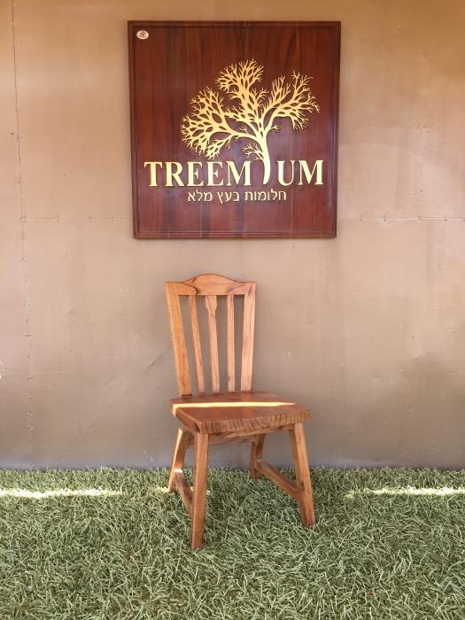 כסא עץ מלא כפרי - Treemium - חלומות בעץ מלא