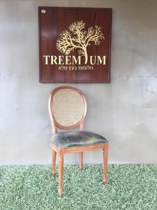 כיסא עץ מלא גב רשת וינאית - Treemium - חלומות בעץ מלא