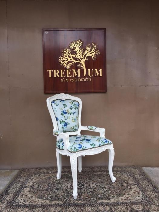 כיסא מפואר מבנה עץ מלא מהגוני - Treemium - חלומות בעץ מלא