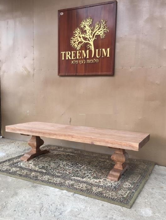 שולחן סלון ייחודי - Treemium - חלומות בעץ מלא