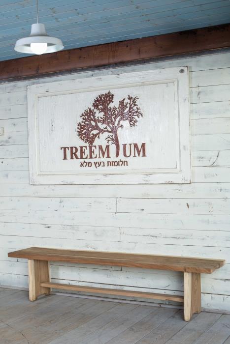 ספסל ייחודי מעץ גזע דגם 2164 - Treemium - חלומות בעץ מלא