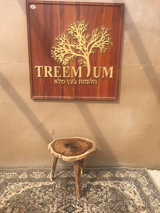 מעמד זית - Treemium - חלומות בעץ מלא