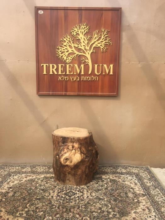 בול עץ זית - Treemium - חלומות בעץ מלא