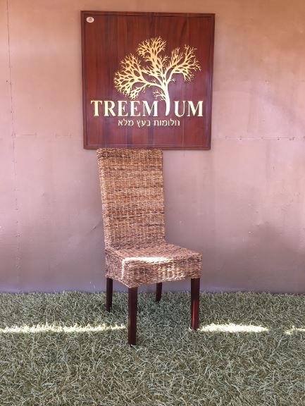 כיסא אוכל ייחודי - Treemium - חלומות בעץ מלא